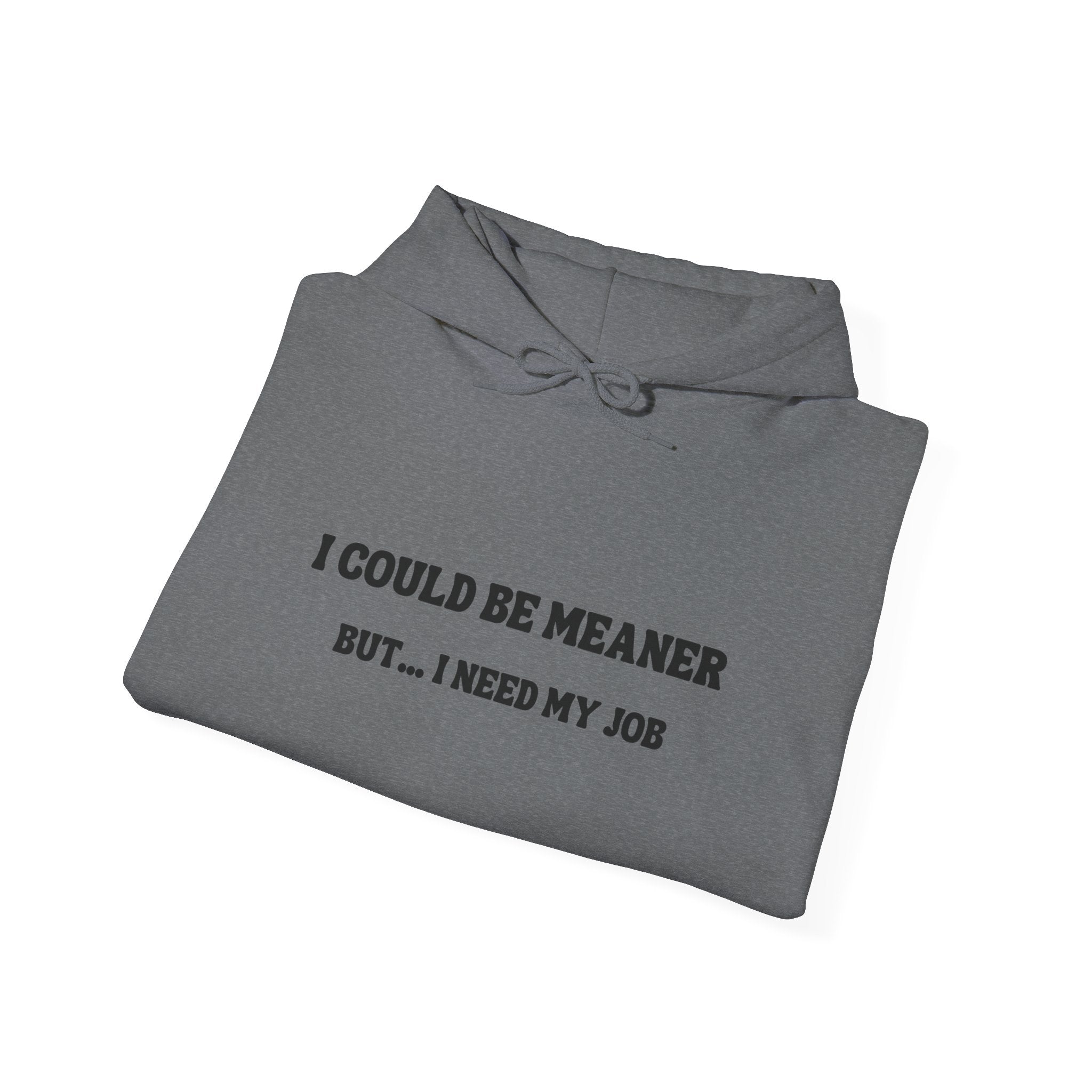 I Could Be Meaner But I Need My Job Hoodie — Funny Work Humor Hooded Sweatshirt
