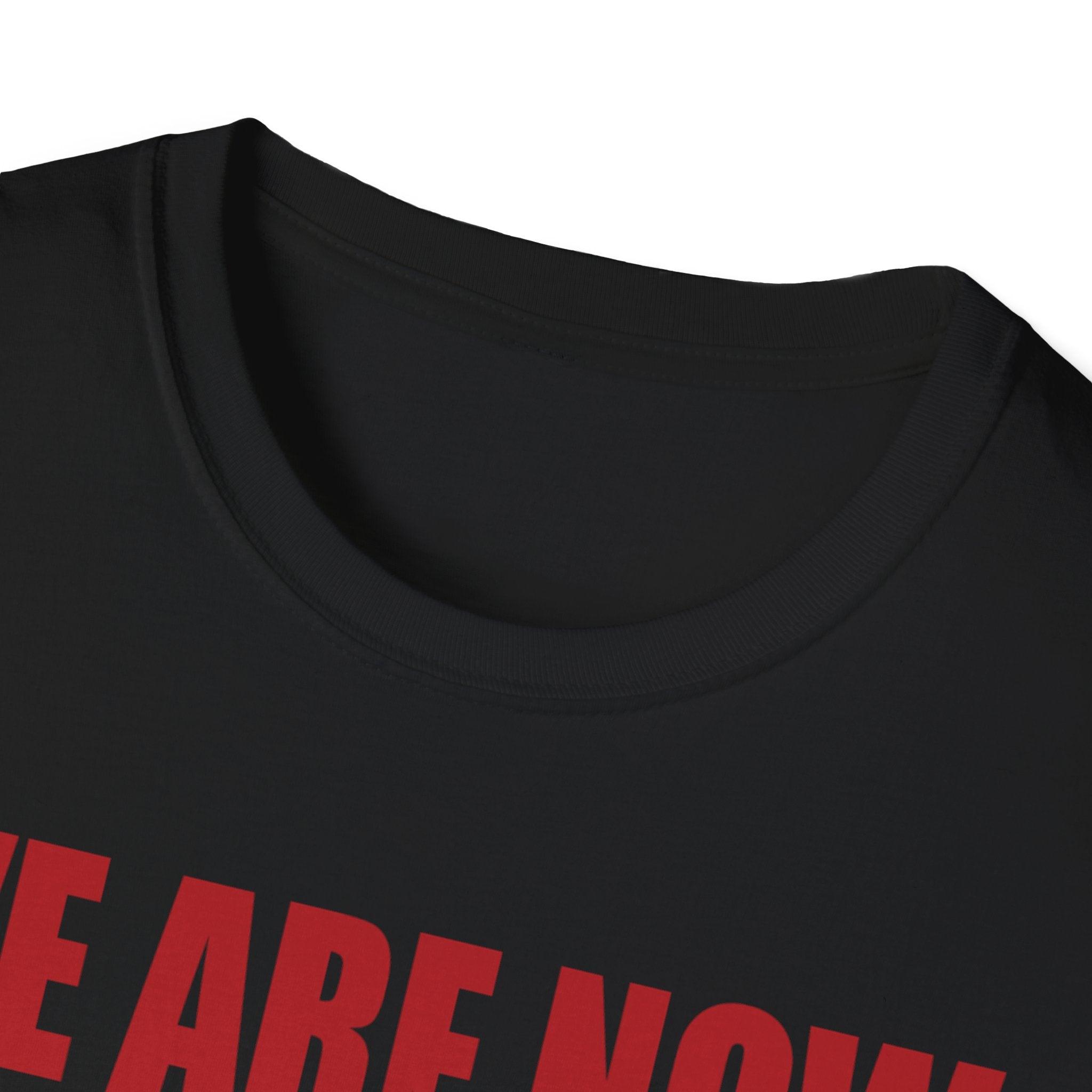 Adulting Milestone T-Shirt — "We Are Now Officially Adul ty"