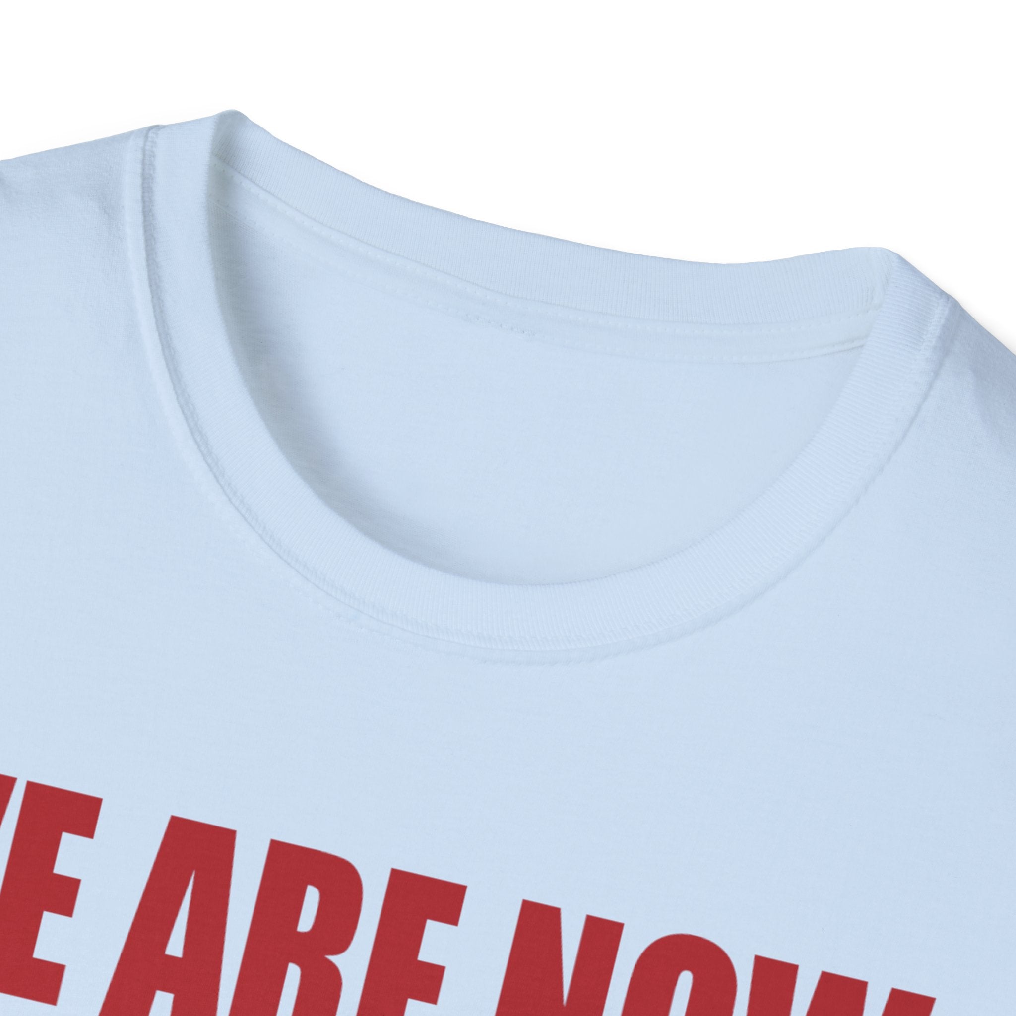 Adulting Milestone T-Shirt — "We Are Now Officially Adul ty"