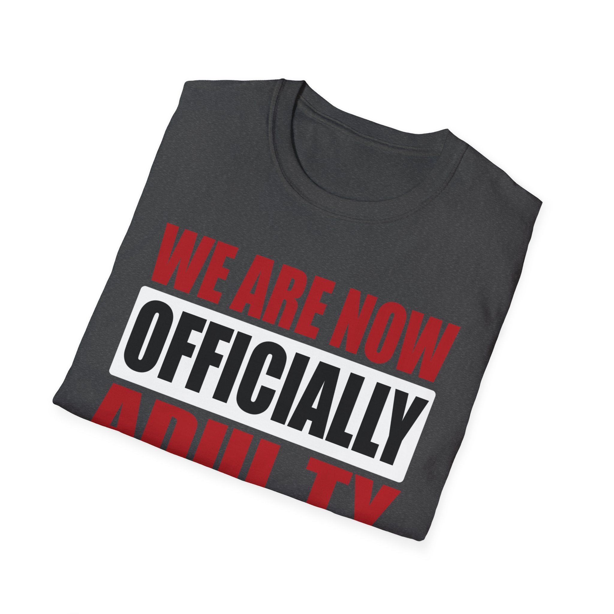 Adulting Milestone T-Shirt — "We Are Now Officially Adul ty"