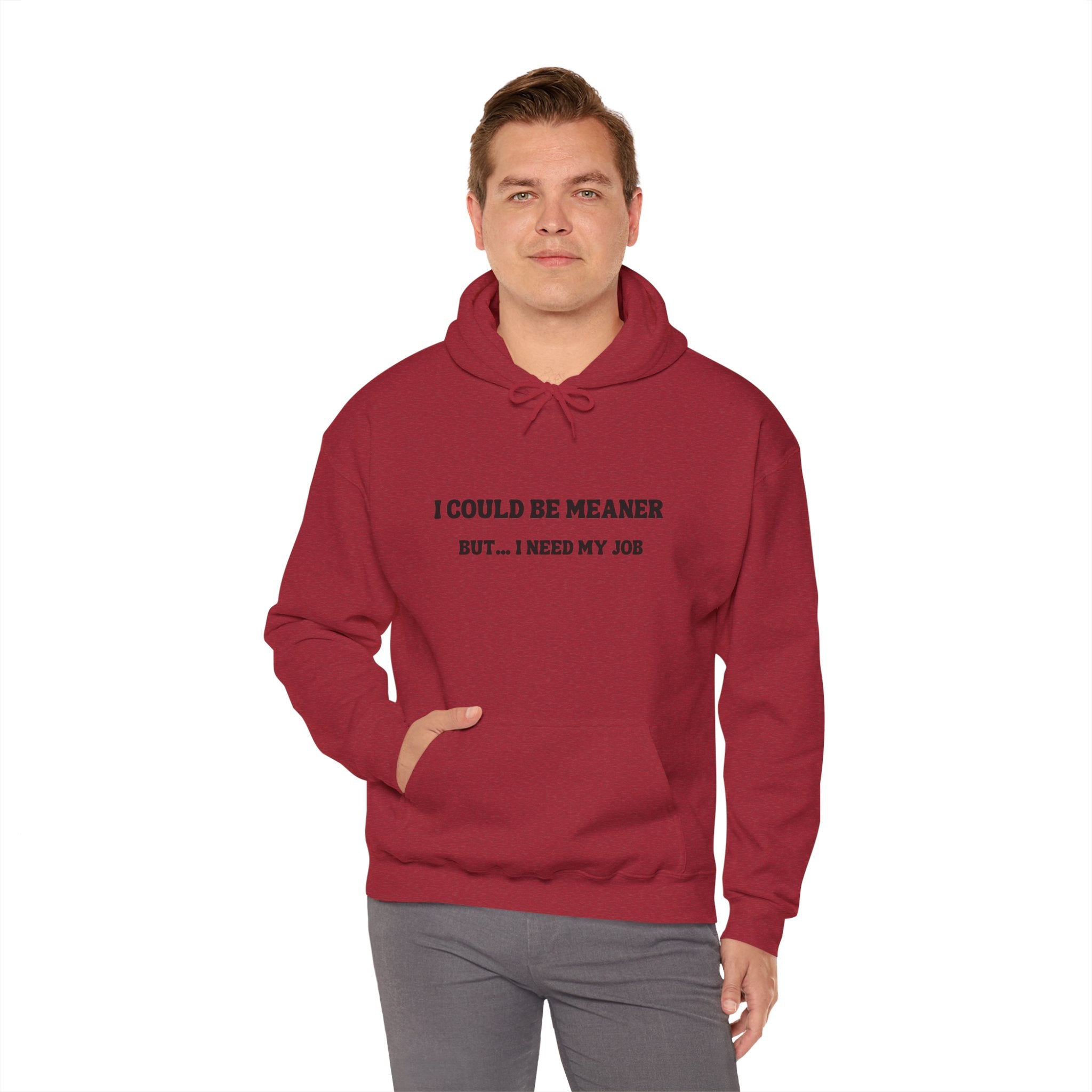 I Could Be Meaner But I Need My Job Hoodie — Funny Work Humor Hooded Sweatshirt