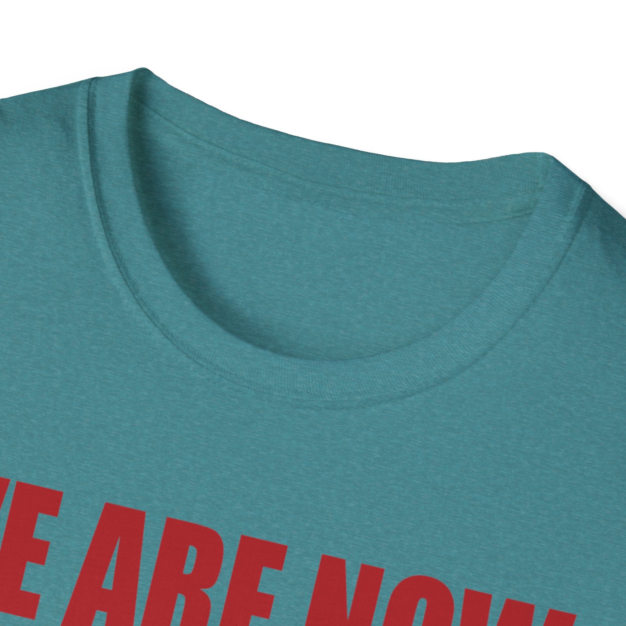Adulting Milestone T-Shirt — "We Are Now Officially Adul ty"